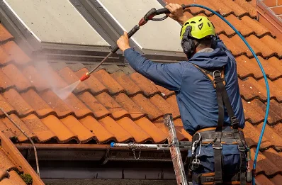 Démoussage et hydrofuge de toiture à Tréon